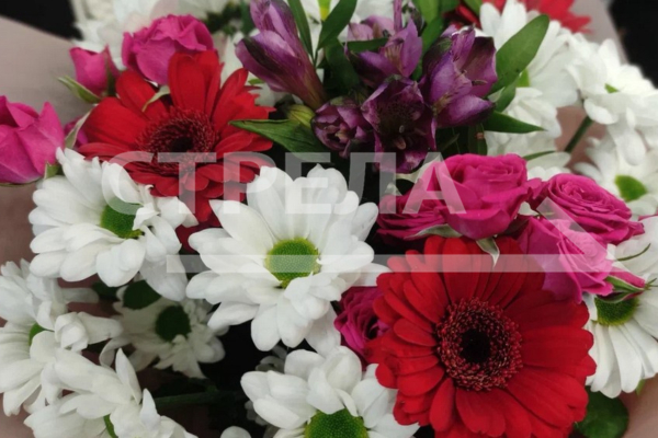 Брянщина признана лучшей по реализации программы «Пушкинская карта»