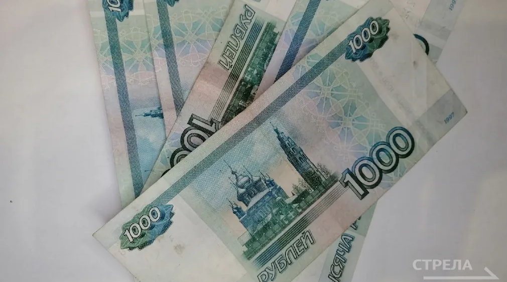 Брянцам рассказали о возможностях нацпроекта «Эффективная и конкурентная экономика»