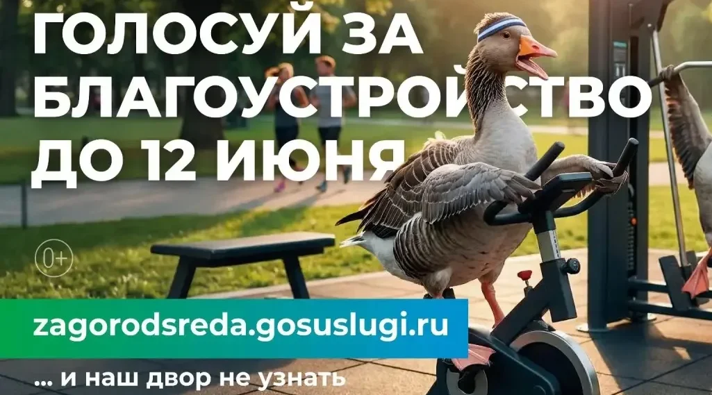 Стартовало голосование за объекты благоустройства: как россияне меняют свои города