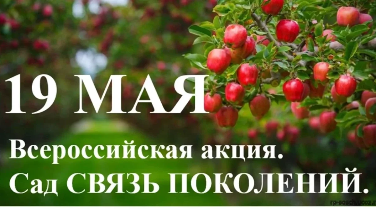 Ежегодная Всероссийская акция «Сад – Связь поколений»