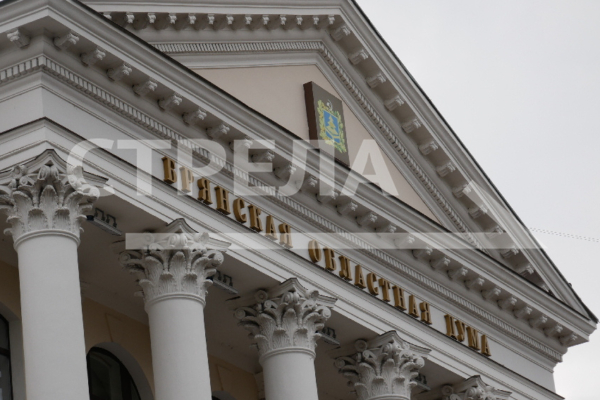 В Брянске сразу несколько законопроектов депутаты поддержали в трех чтениях