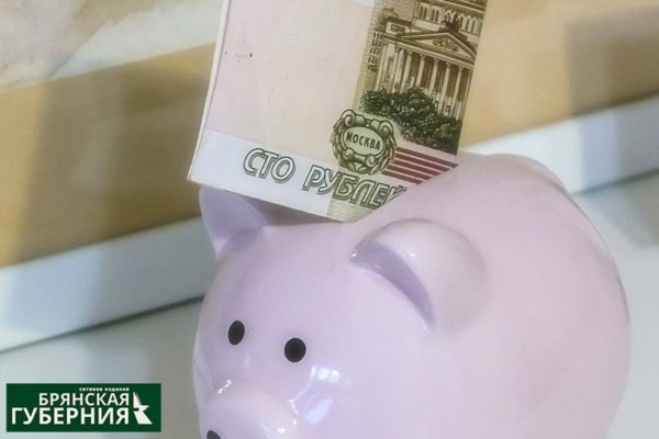 Собственные доходы Брянщины по итогам 2023 года составили 66,7 млрд рублей