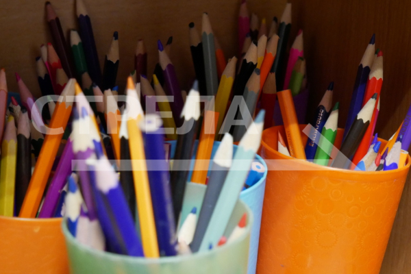 В Брянской области многодетные семьи поддержат, чтобы подготовить школьников к учебному году