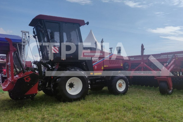 Для гостей «Дня Брянского поля» будут курсировать бесплатные автобусы