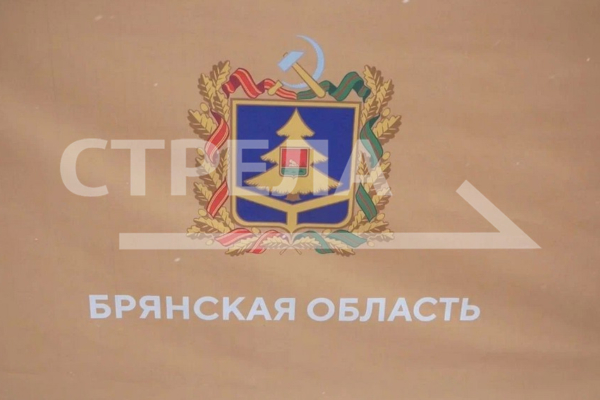 Брянского губернатора наградили Благодарностью председателя Совета Федерации
