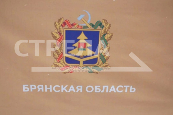 Президент поддержал инициативу Александра Богомаза в выделении федеральных средств на укрепление теробороны