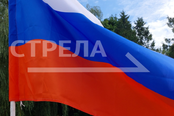 В Брянской области в 20:00 закрылись участки для голосования