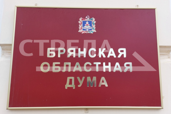 Заместителями председателя Брянской областной Думы восьмого созыва стали Николай Якушенко и Владимир Пронин