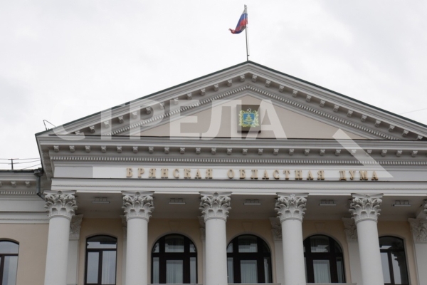 Брянская областная Дума восьмого созыва избрала председателей постоянных комитетов