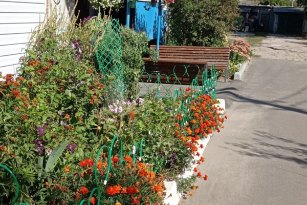 Жители Лопуши Выгоничского района ценят комфорт и уют