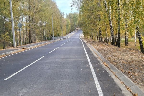 В Выгоничском районе по нацпроекту «Безопасные качественные дороги» капитально отремонтировали участок дороги