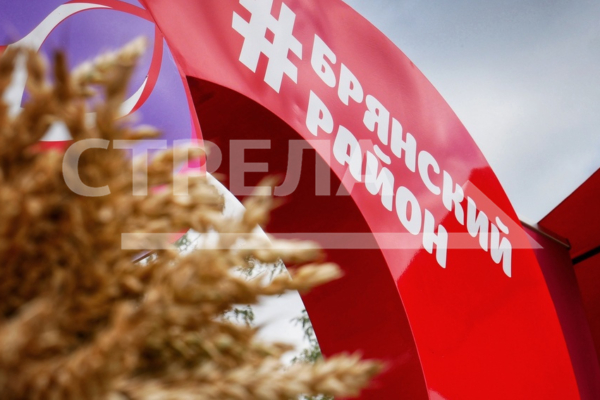 Брянский район готовит экспозицию ко Дню муниципалитетов