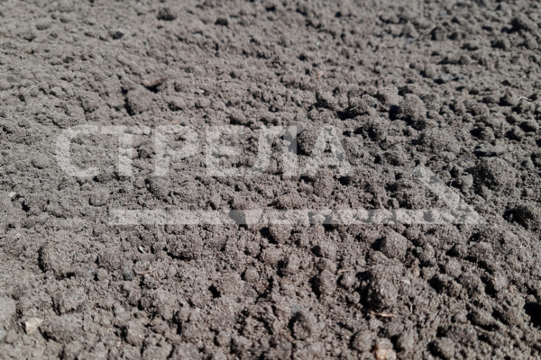 Брянским многодетным семьям предоставили почти семь тысяч земельных участков