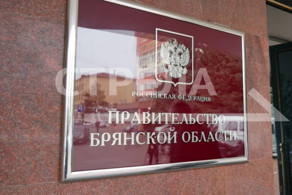 В Брянской области реализуются меры поддержки многодетных семей