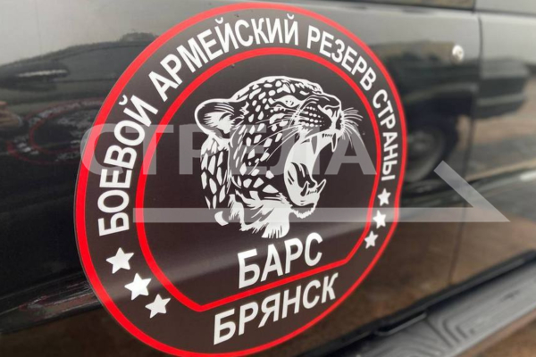 Добровольцы отряда «БАРС-Брянск» ежедневно отвечают на вопросы жителей