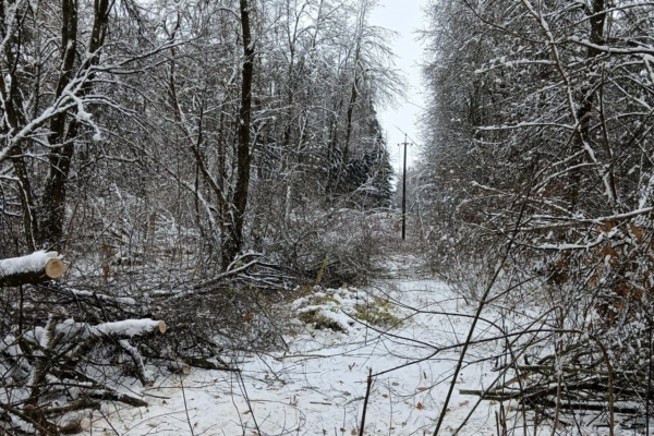 Ликвидация последствий разгула стихии в Выгоничской районе вступает в завершающую фазу