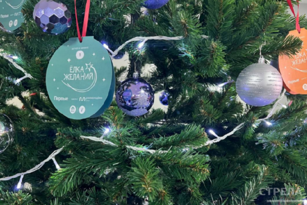 Брянцы могут исполнить детские мечты в рамках акции «Ёлка желаний»