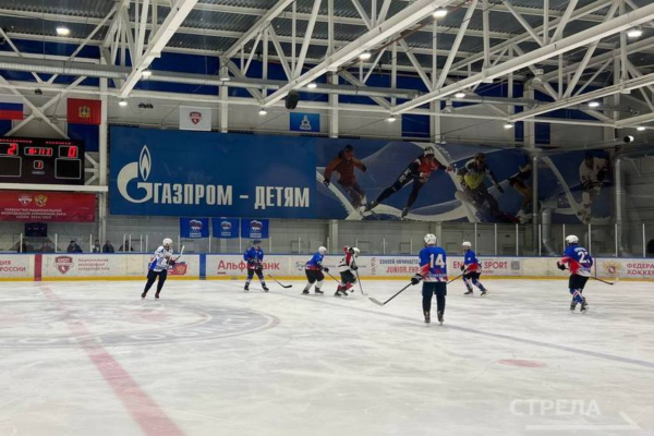 Накануне Дня российского студенчества состоялся хоккейный матч команд правительства и молодежной сборной Брянщины
