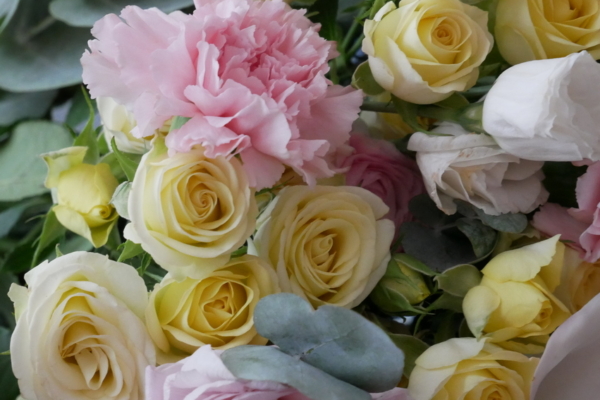 Александр Богомаз поздравил двух брянских врачей с высокими госнаградами