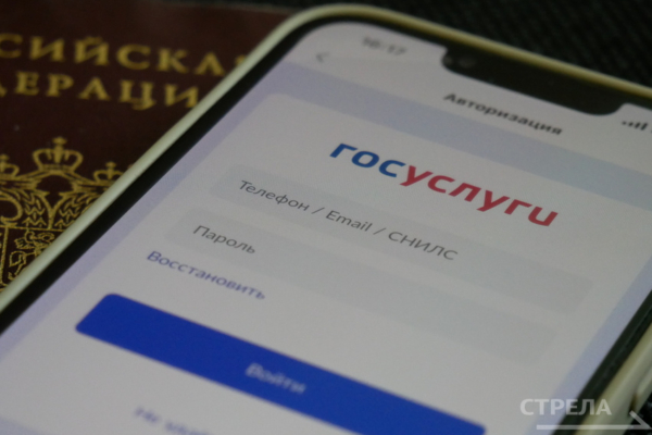 Жизнь брянцев стала намного проще благодаря приложению Госуслуги.Дом