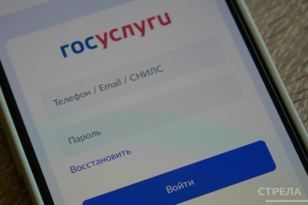 Брянцы смогут воспользоваться функцией гостевого режима в приложении Госуслуги.Дом