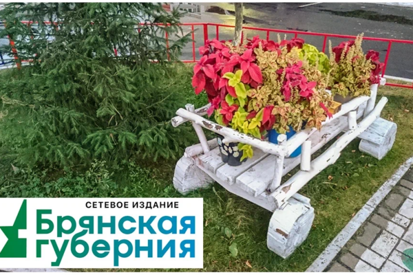 В брянской Сеще два двора благоустроят за 2 млн рублей