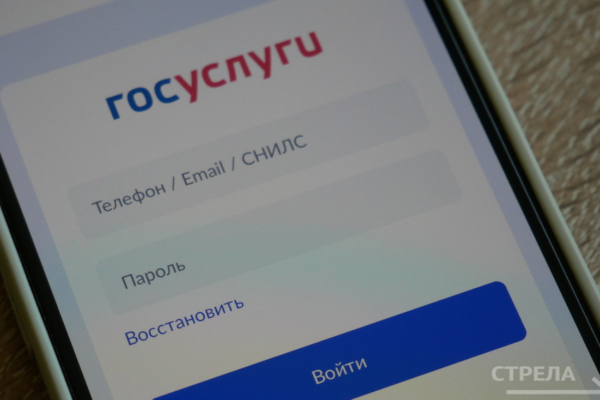 Приложение Госуслуги.Дом радует брянцев своей простотой и функционалом