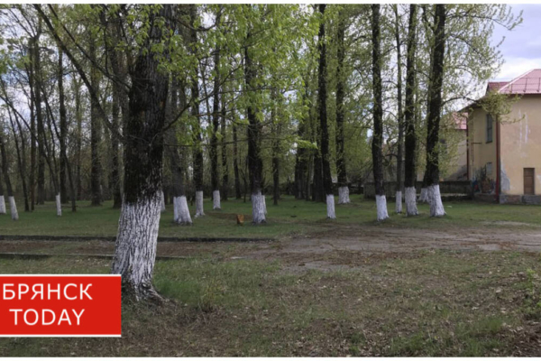 Брянцы выбирают объекты для благоустройства на следующий год