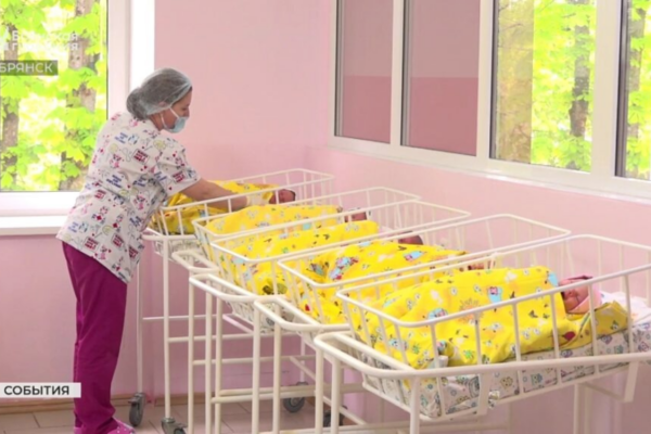 В Брянской области число многодетных семей увеличилось до 15217