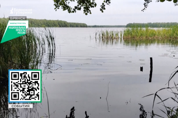 В Брянске в лидеры голосования для благоустройства в 2026 году вышел парк «Олимпийский»