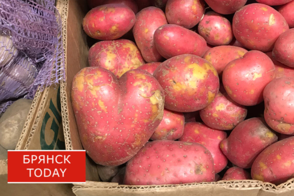 Максим Попов рассказал о секретном месте с дешевой картошкой