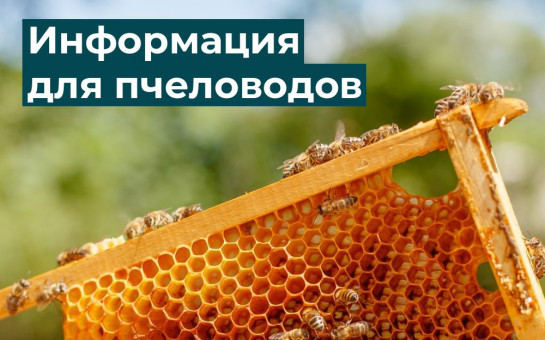 Уважаемые пчеловоды Выгоничского района!