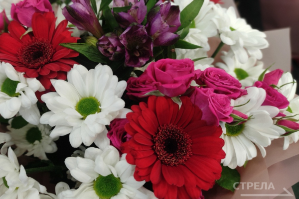 Губернатор Александр Богомаз поздравил двух брянцев с высокими госнаградами