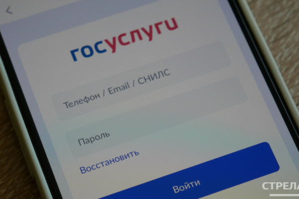 Приложение Госуслуги. Дом помогает брянцам решать бытовые вопросы