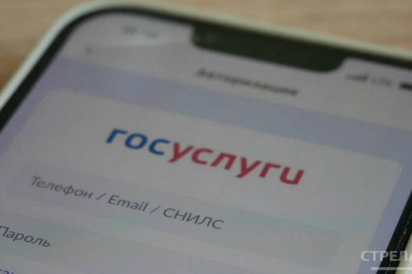 Приложение «Госуслуги.Дом» помогает брянцам разбираться в бытовых проблемах