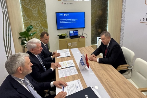 Брянская область входит в топ-10 лидеров по догазификации