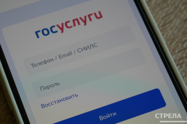 Приложение «Госуслуги.Дом» помогает брянцам контролировать коммунальные услуги