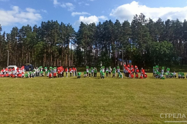 Брянцы и белорусы устроили флешмоб в молодежном лагере «Дружба»