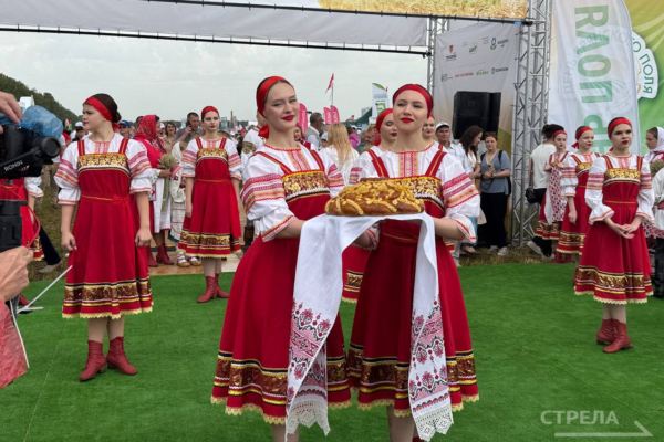 Под Брянском открылась агропромышленная выставка «День поля»