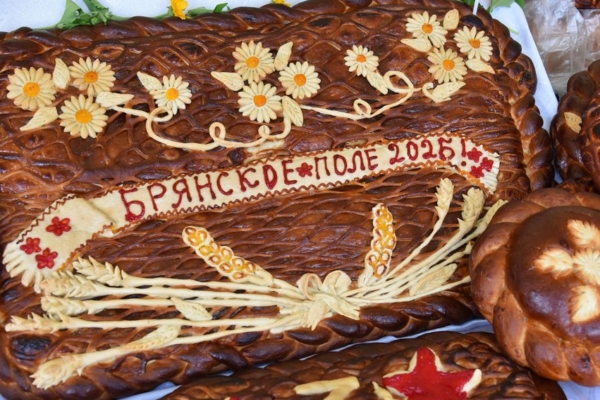Брянская область занимает первое место в России по производству картофеля