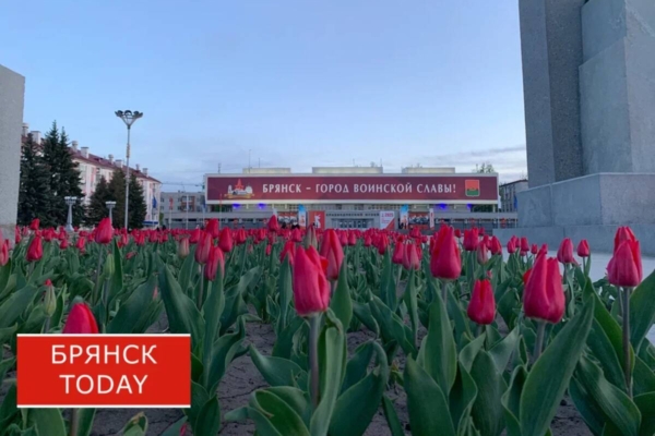 Брянская область включена в госпрограмму восстановления пострадавших территорий