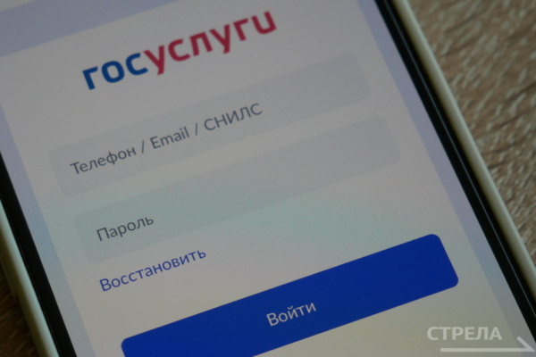 Брянцам стало жить комфортнее благодаря приложению «Госуслуги.Дом»