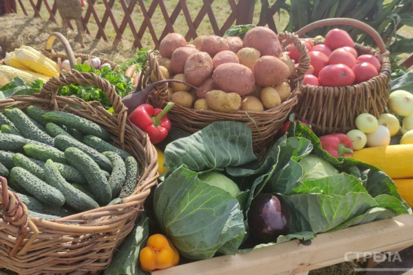 В Брянске 19 июля пройдет ярмарка выходного дня
