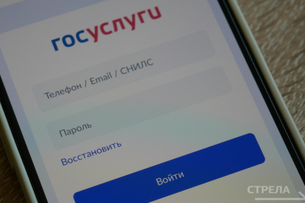 Брянцам в решении жилищных вопросов помогает приложение «Госуслуги.Дом»