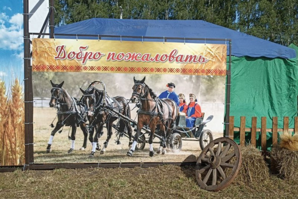 В брянском Кокино работает агропромышленная выставка «День поля»