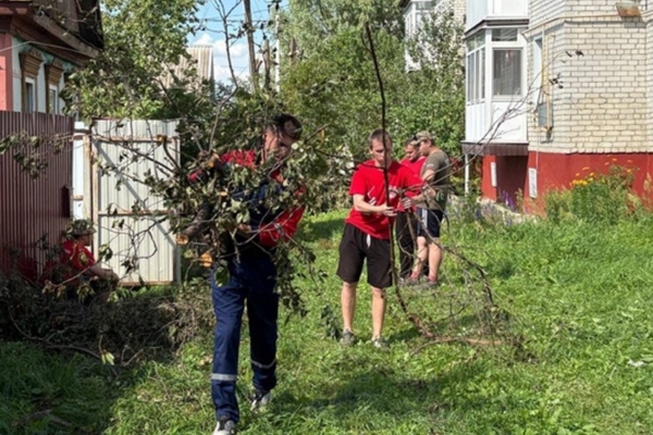 Активисты брянской Волонтерской Роты приняли участие в ликвидации последствий урагана в Климово