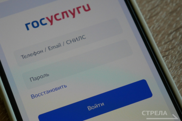 «Госуслуги.Дом» помогают брянцам разобраться в жилищных вопросах