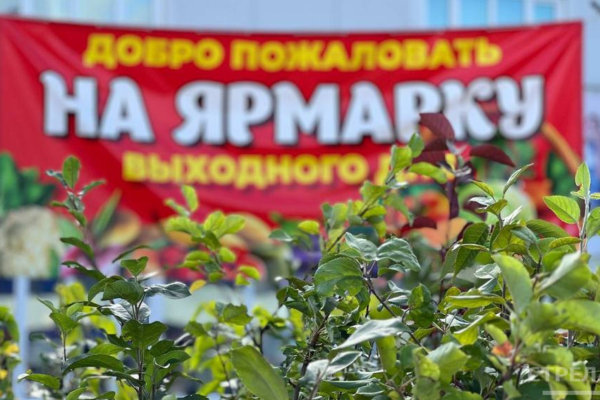 Во всех районах города Брянска продолжают работу ярмарки выходного дня