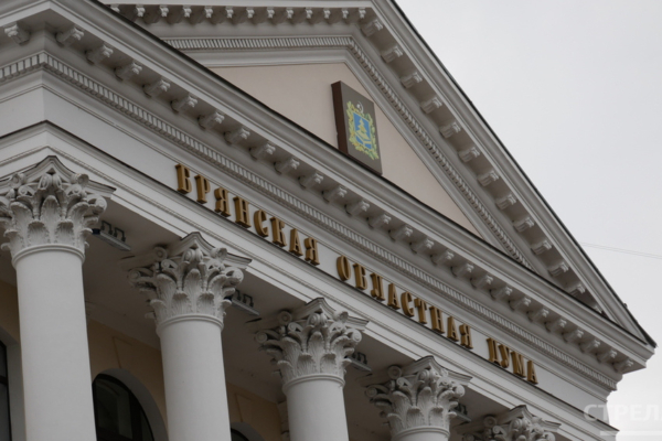 Евгений Вылцан возглавил комитет брянской облдумы по делам ветеранов, участников боевых действий и их семей