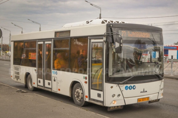 Автобусный парк Брянска пополнят новыми машинами большого класса в 2026 году